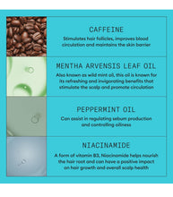 Cargar imagen en el visor de la galería, Nioxin 3 Kit de sistema, tratamiento para fortalecer y engrosar el cabello