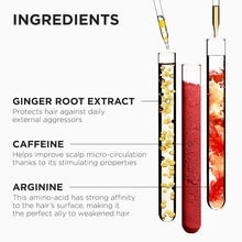 Cargar imagen en el visor de la galería, Kérastase Genesis Strengthening Hair Gift Set for Weakened Hair