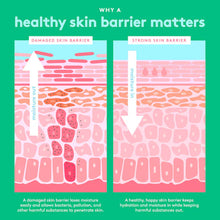Cargar imagen en el visor de la galería, Drunk Elephant Bora Barrier Rich Repair Refillable Cream with 6-Butterlipid Complex