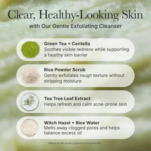 Cargar imagen en el visor de la galería, Arencia Fresh Green Rice Mochi Cleanser Limpiador Facial de Arroz
